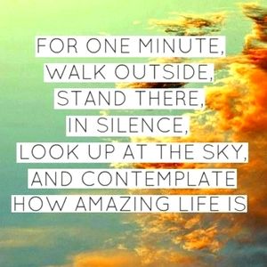 Meet your Posher, Johnnie